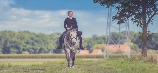 Reiturlaub auch für Anfänger geeignet Reiturlaub auch für Anfänger geeignet