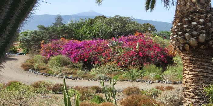Teneriffa – die Insel der unbegrenzten Möglichkeiten