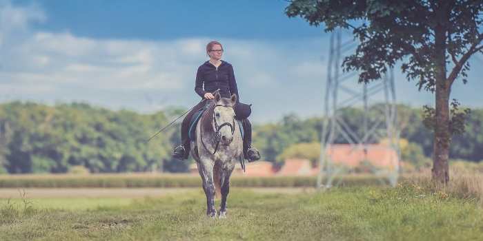 Reiturlaub auch für Anfänger geeignet