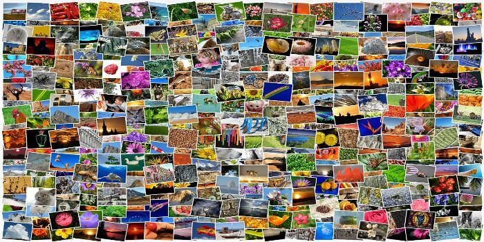 Bild von unzähligen Fotos