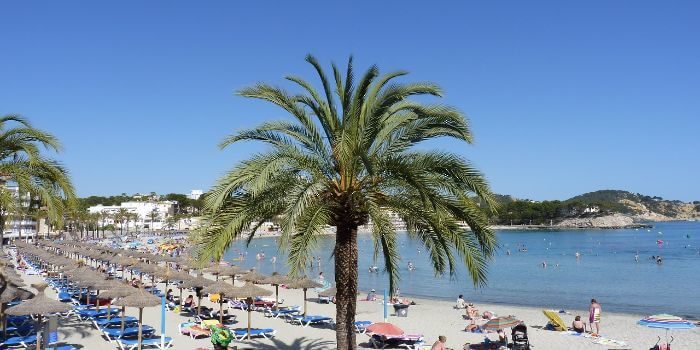 Mallorca mit dem Mietwagen erkunden
