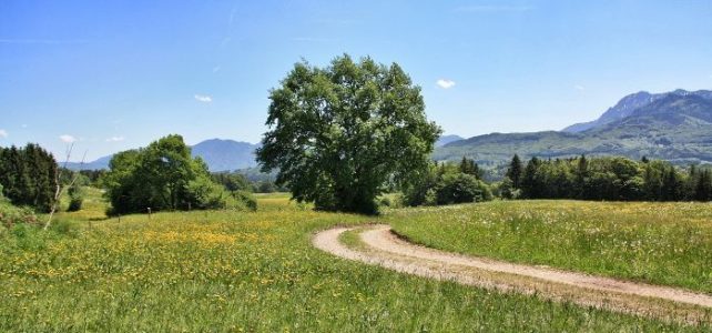 Kurzurlaub in Oberbayern Kurzurlaub in Oberbayern