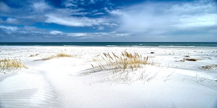 Bild von einer Dünenlandschaft an der Ostsee Dänemarks